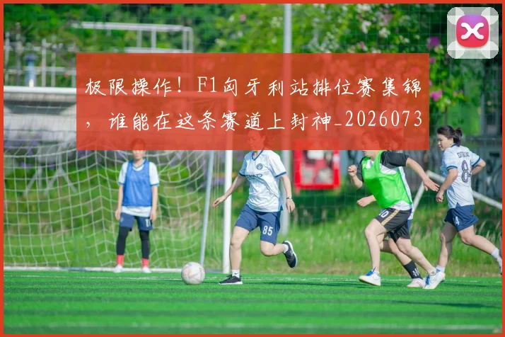 极限操作！F1匈牙利站排位赛集锦，谁能在这条赛道上封神_20260731175742